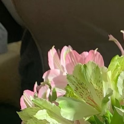 0000阳光信用 每日一善 🥰平板没电惹 水仙花最常见也最美妙的地方，就是只需
