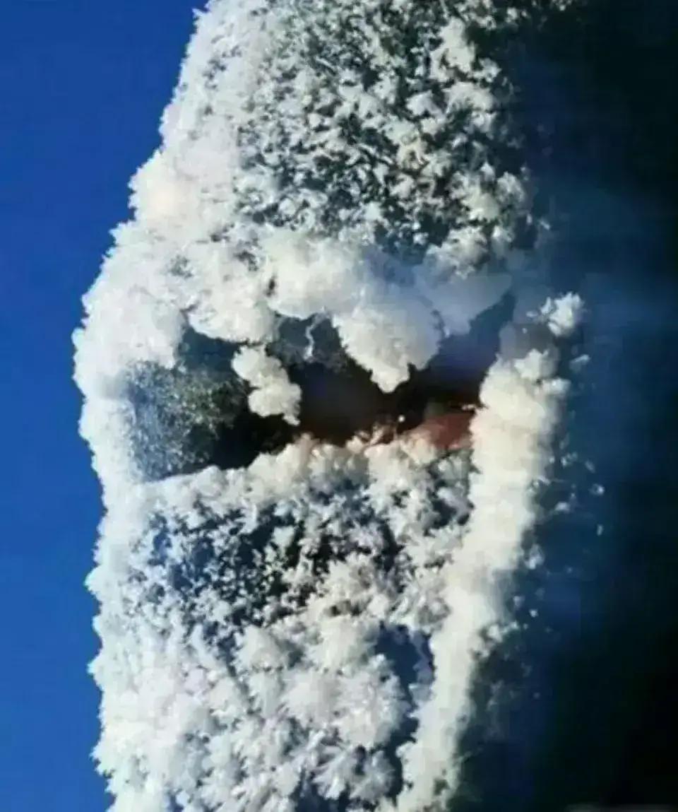 说一句带‘雪’的诗句抗风雪守边关！