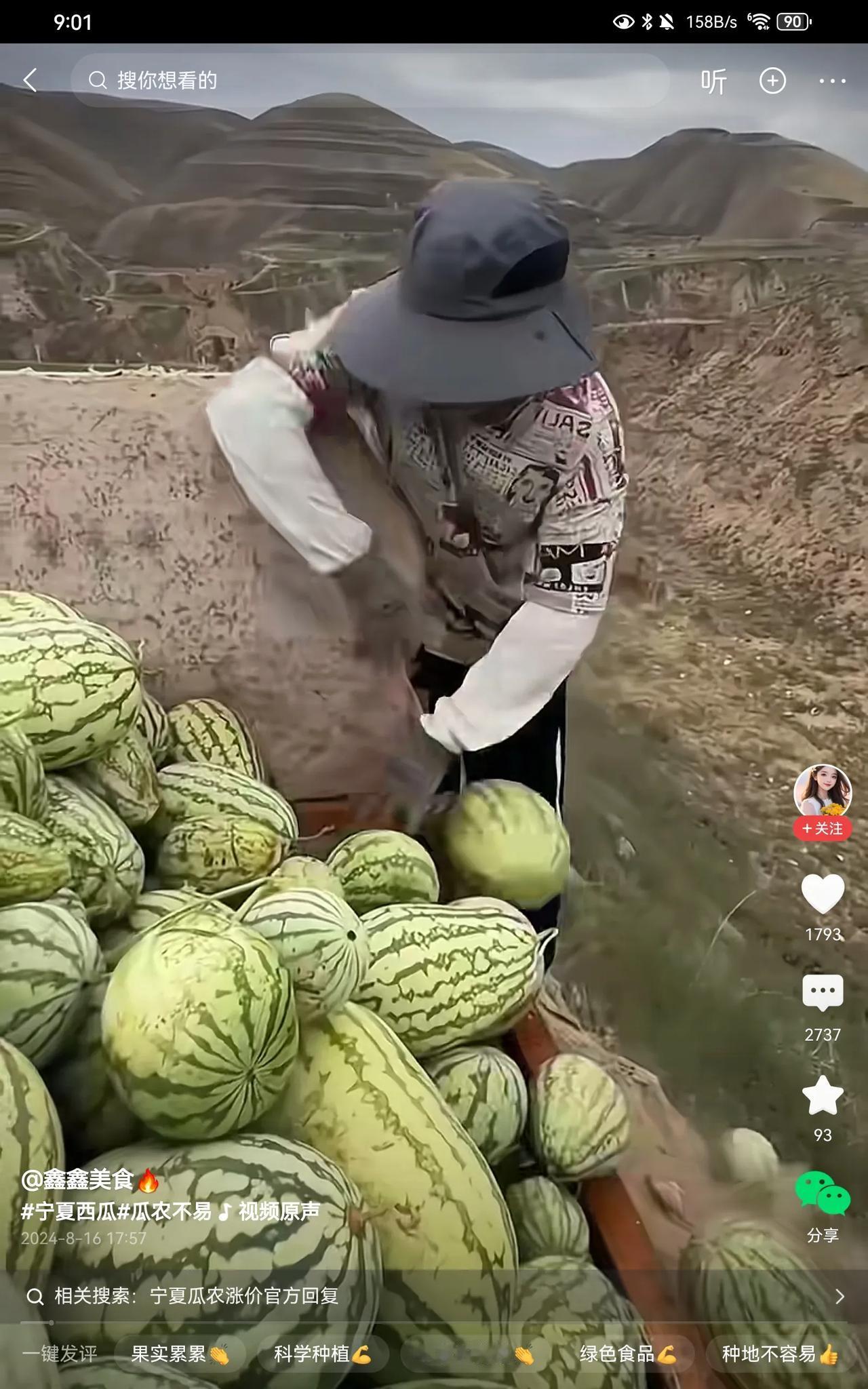 瓜