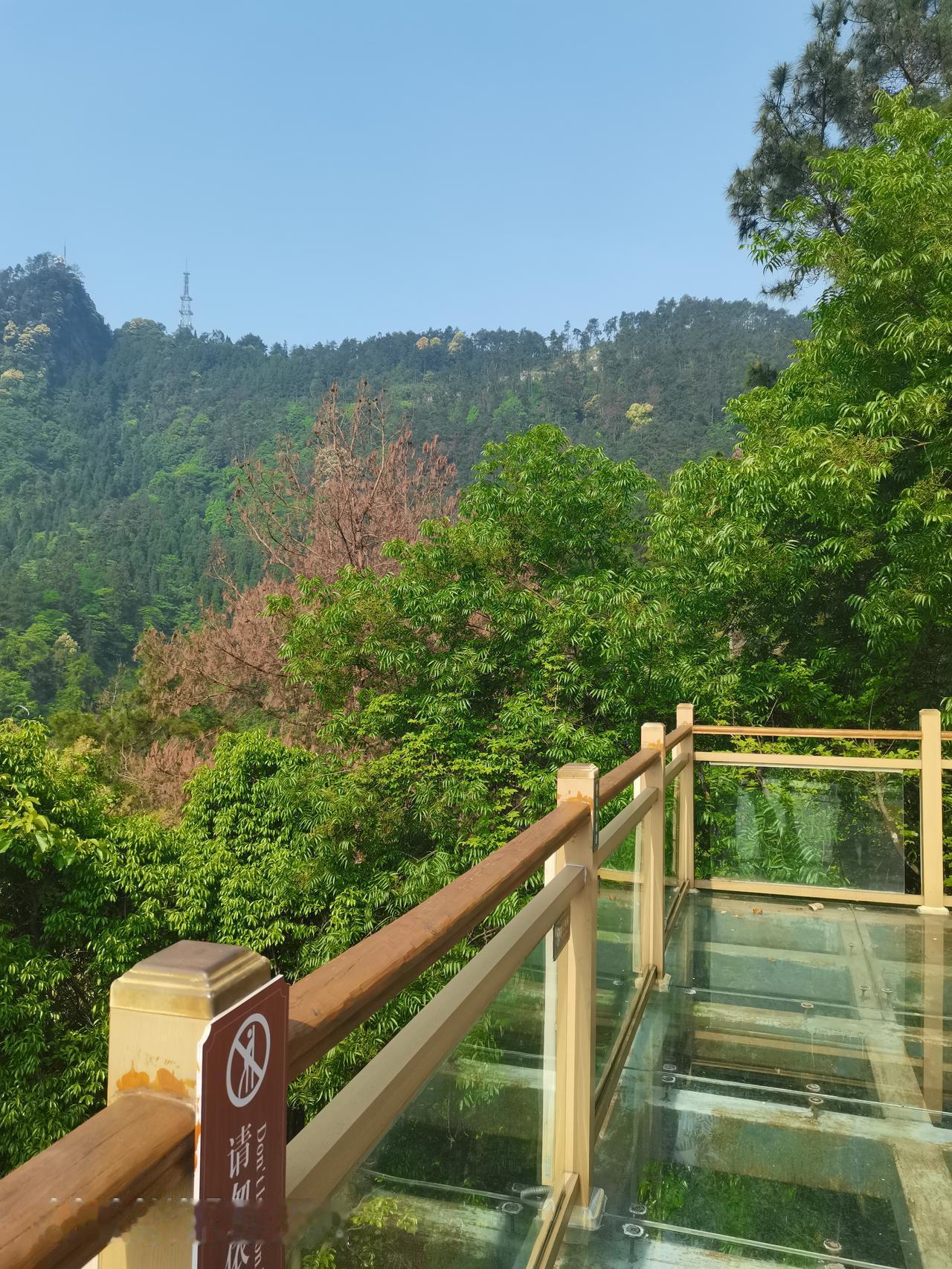 美丽的铁山//满目苍翠，群山起伏，树木在鸟儿的鸣叫声中醒来，阳光抚慰，一切都突然