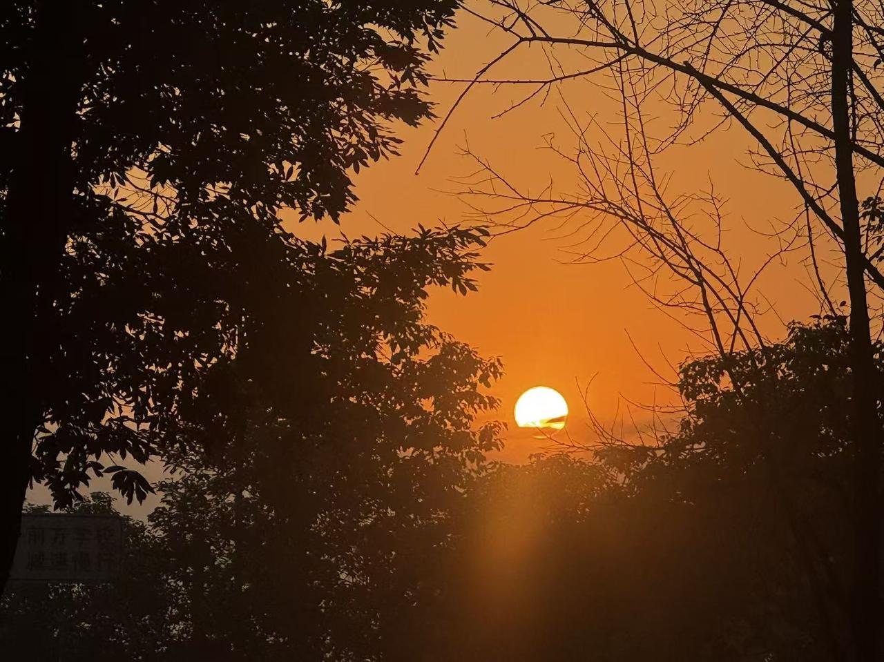 成都雾霾天气终于解除了，
迟来的太阳。
今天的成都各大草坪即将被攻占成都天气 大