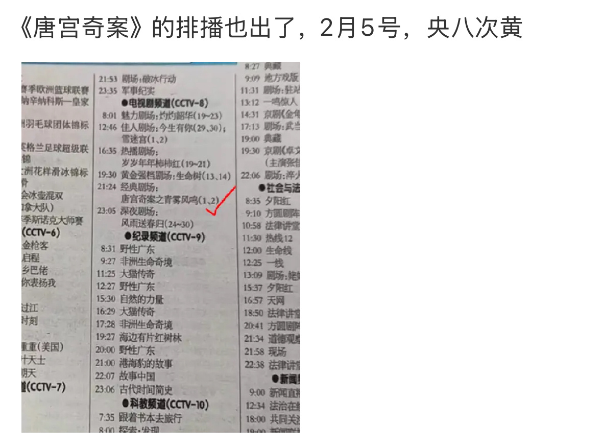 2月的两部古装定了，你们准备看哪部？白鹿王星越唐宫奇案2.5 王楚然丞磊成何体统