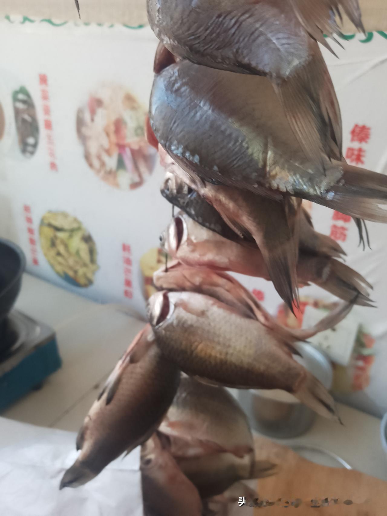 今天又是我一个人在家，一下人吃饭一个人喝酒！真的是太无聊了！一个人吃饭 宅家两天