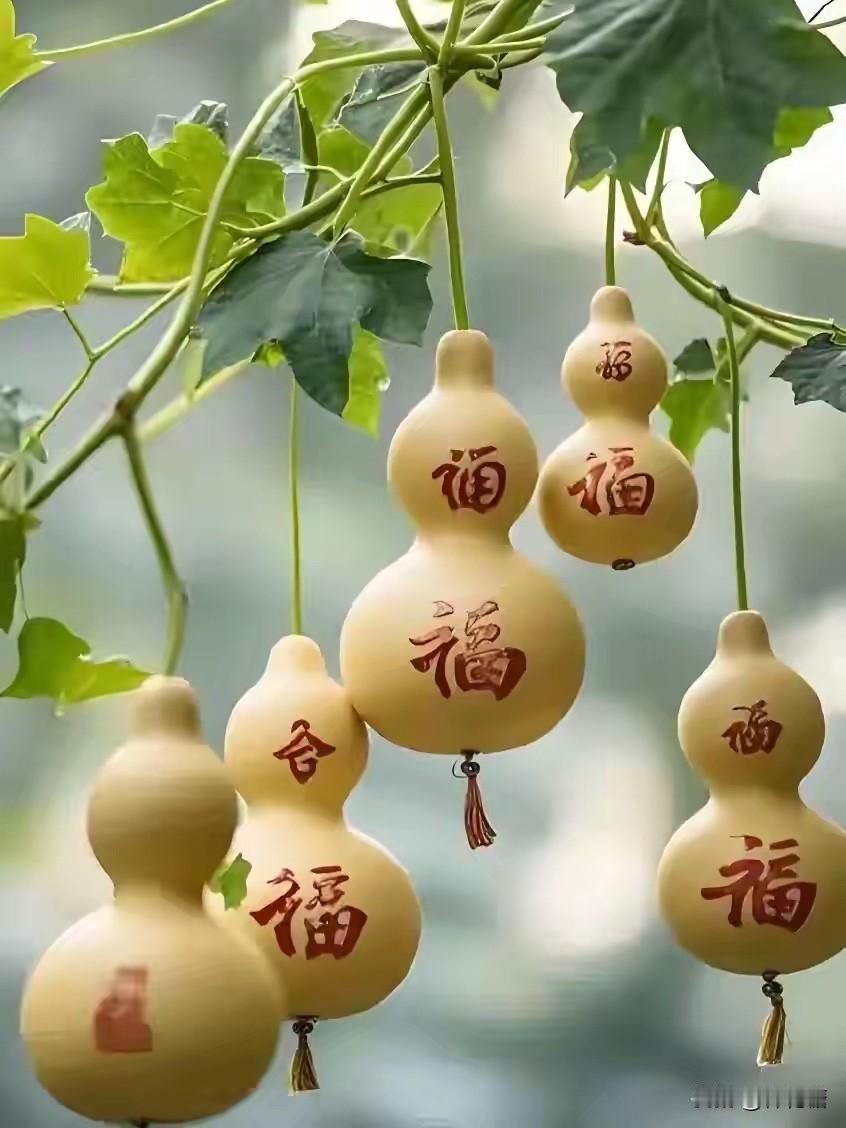 有些人平日低调从容，从未经历暴富奇迹，人生轨迹却平稳顺遂。他们不争不抢，好事却常