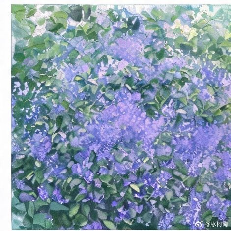 遇见艺术新城事花语紫花夜丁香花语为“芬芳”，象征夜晚的静谧与迷人香气带来的美好意
