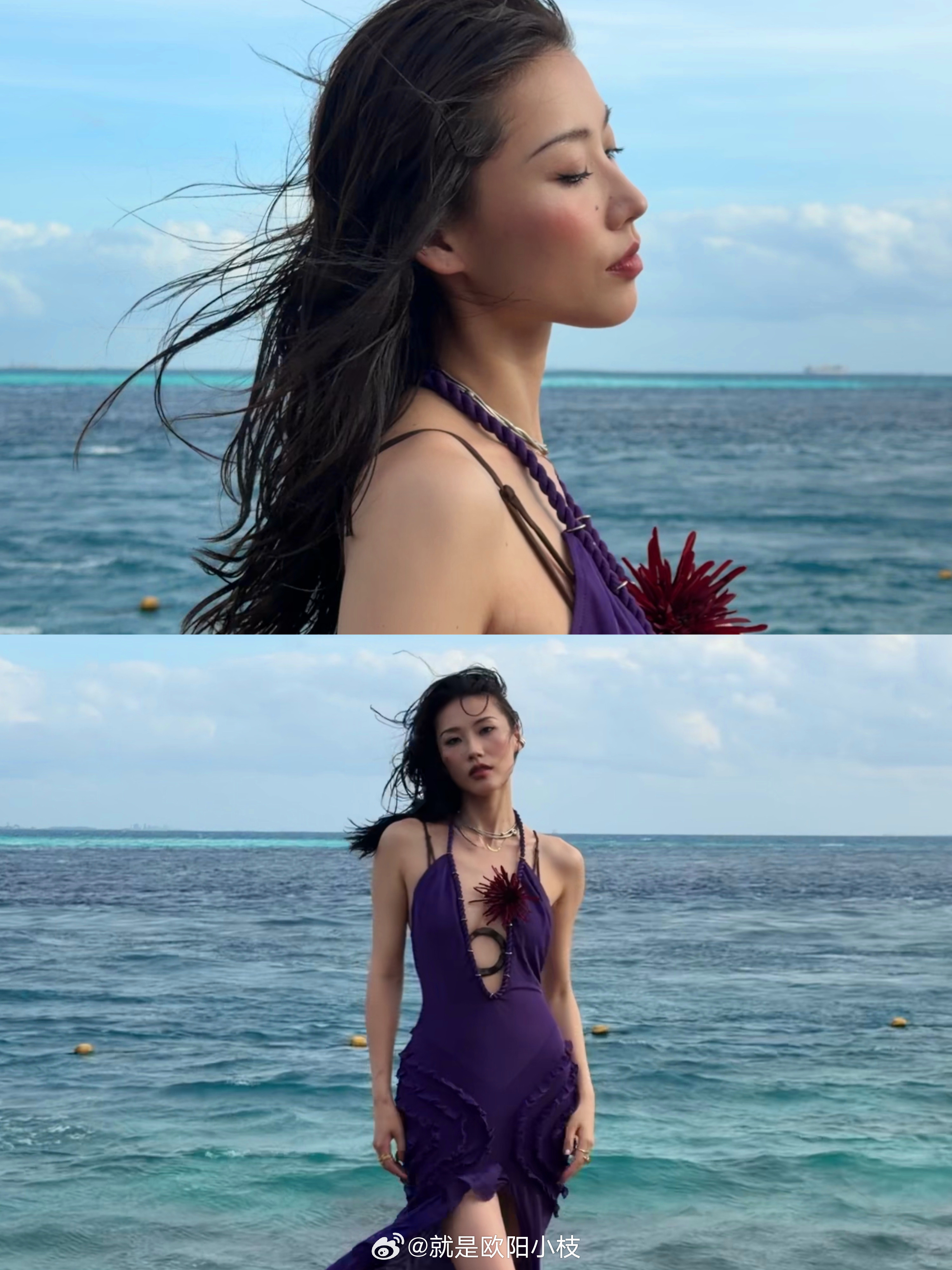 28°C ((🐚𓇼 𓂂𓈒𓏸𓈒𓐍𓇼𓈒𓏸𓆝⋆.˚就这么浓烈艳丽