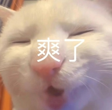 练完胸之后胸肌充血膨胀的感觉真是太爽了，有一种穿上了大盔甲的感觉，建议每个人都去