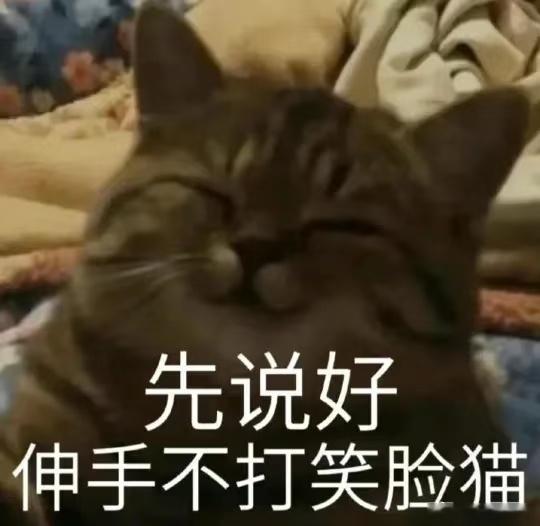 如果，我发个“明天，蹲？”会不会被打？[柯基]极氪极氪[超话]大v聊车 ​​​