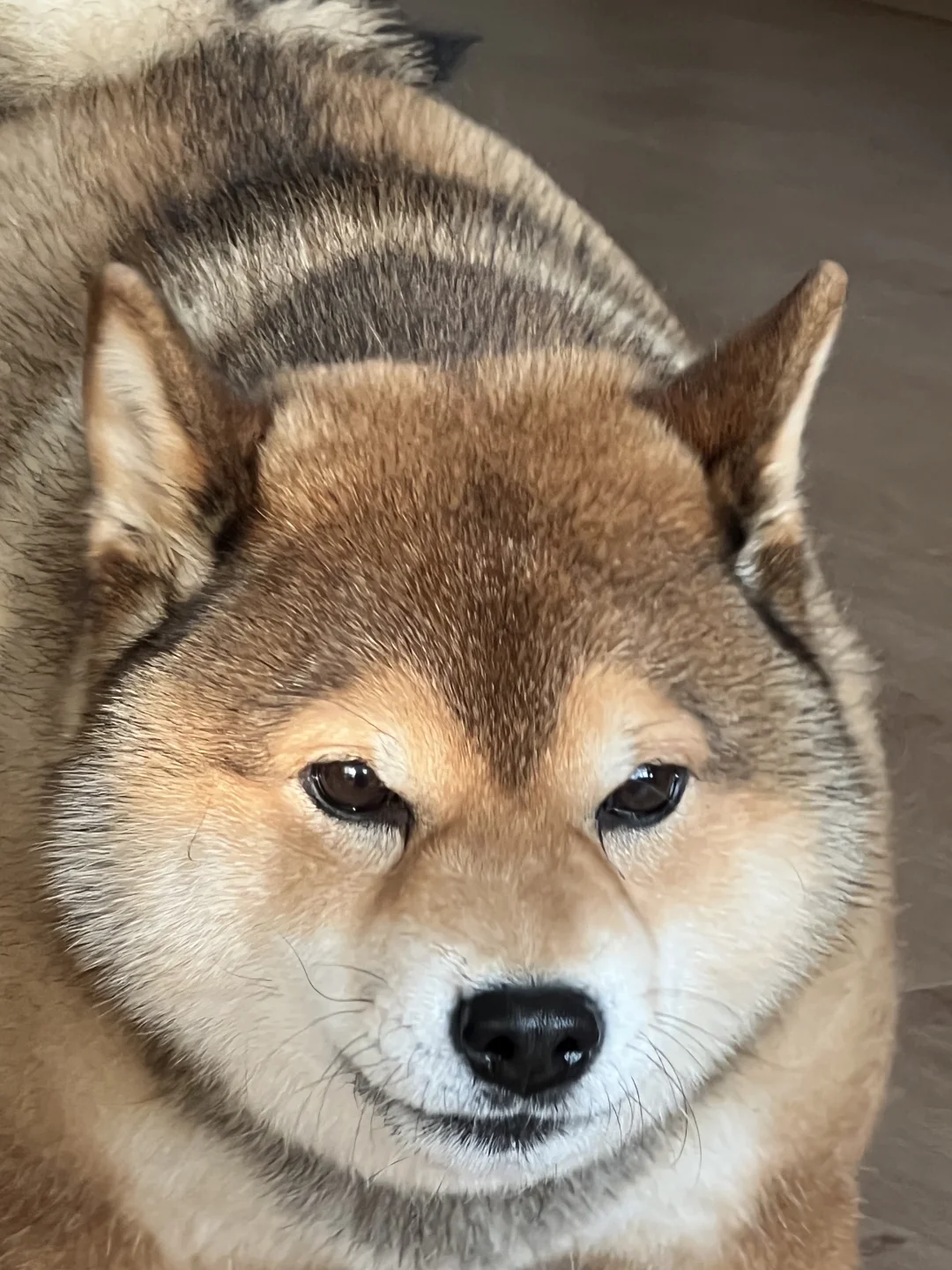 向上管理有一套