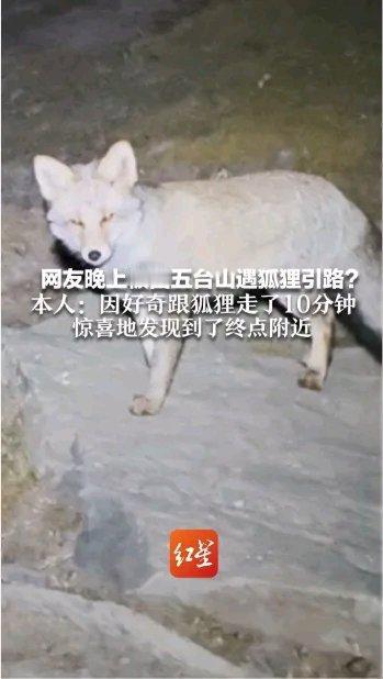 10月3日网友分享在五台山的奇妙经历，当事人陈先生10月2日从鸿门岩出发徒步，全