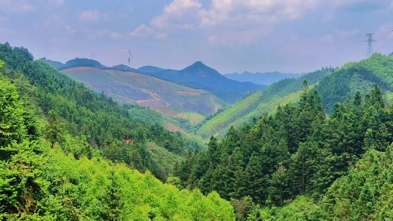 🌄深山老林里，不仅有如画的风景，更藏着对道德的思考。

在物欲横流的时代，道德