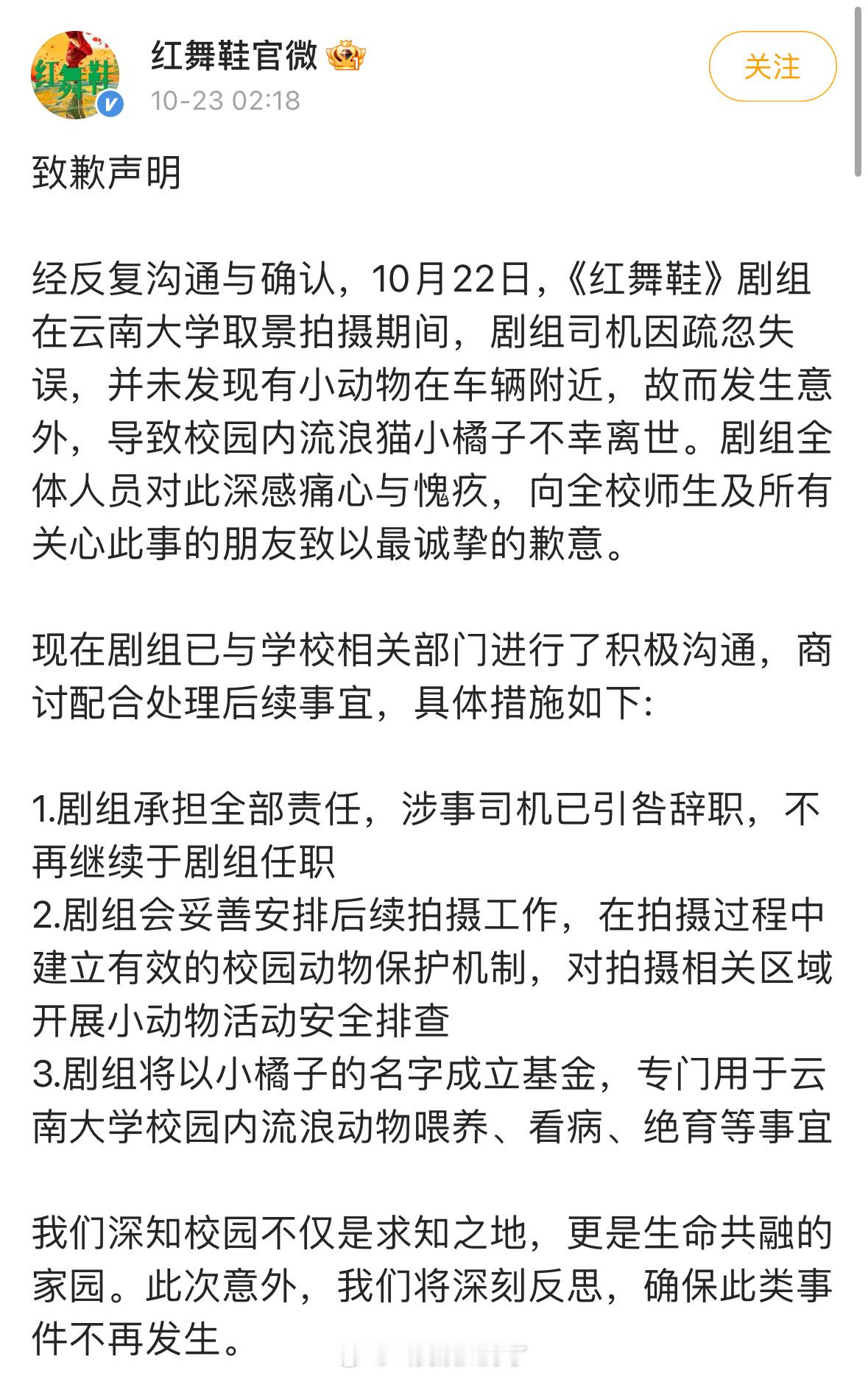 《红舞鞋》剧组就在大学内撞死小猫一事发声明致歉，涉事司机引咎辞职，后续会用小猫名