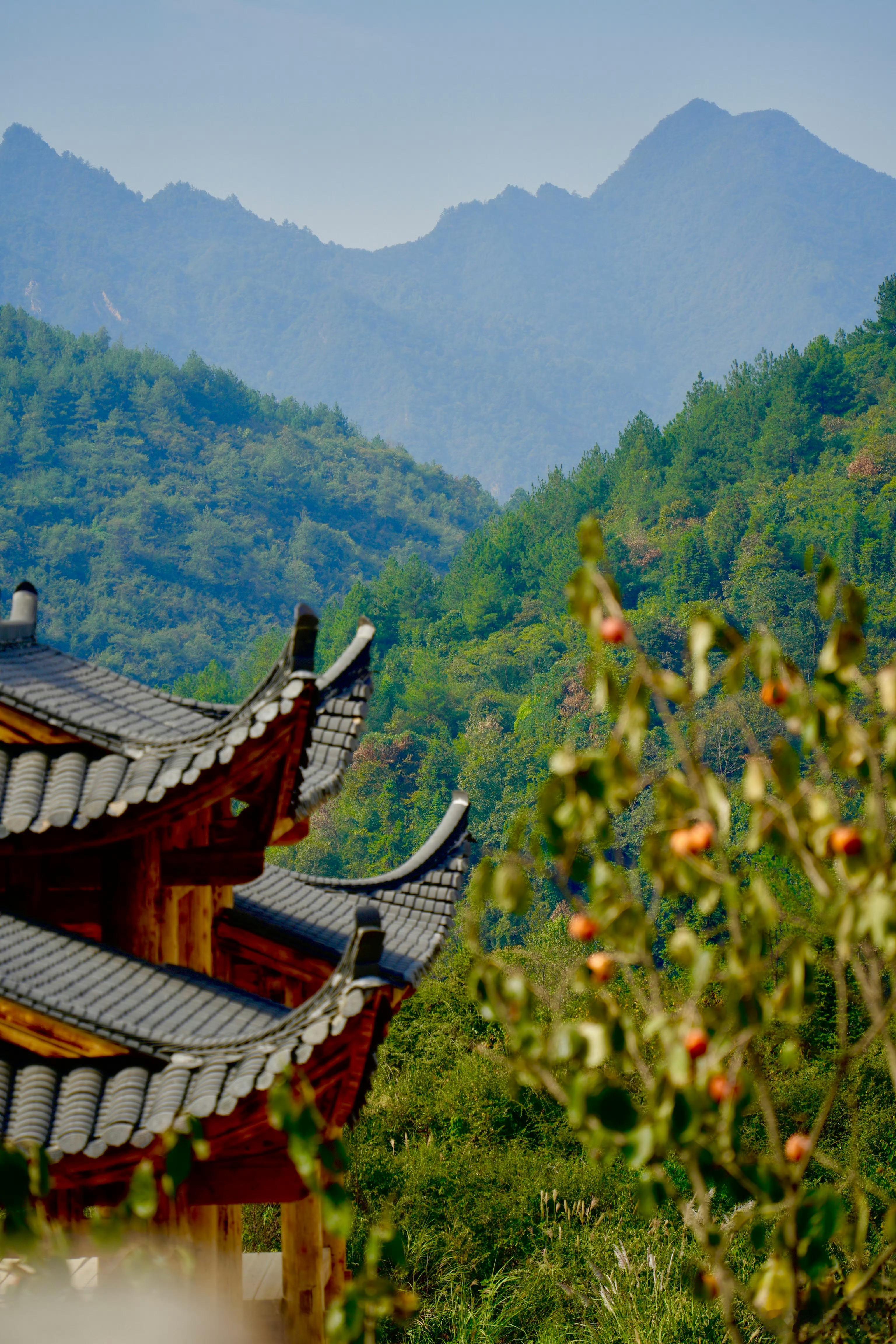 去度假农庄一起种地吧  人文旅行地图 湖南张家界桑植的阿巴砦，地处桑植县走马坪白