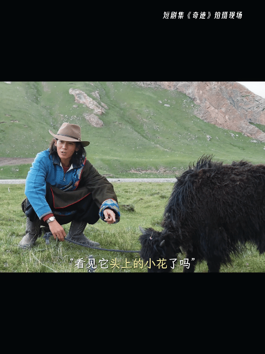 我用0秒接受了于适放牛 于适演哈扎，是一种“回归”般的自然。他放下了所有明星光环