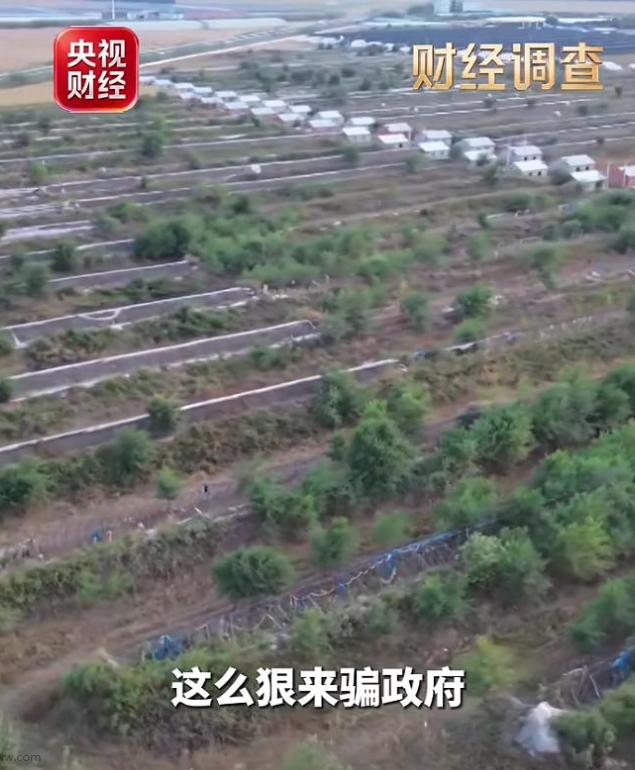 “太过分了！必须查到底！”央视财经记者调查，内蒙古通辽这家公司 9 天拿项目、一