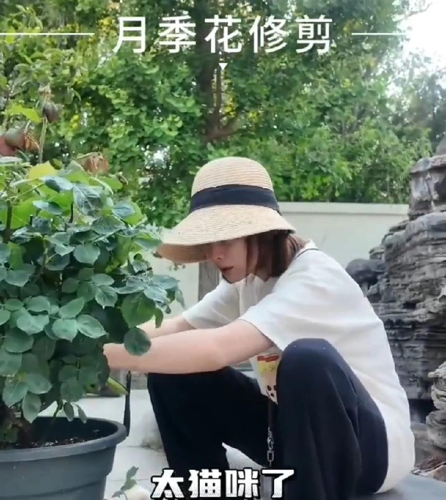 嫁给19岁富商老公的邓莎，生活堪称令人艳羡——豪宅坐落北京，花园占地广阔，园艺细