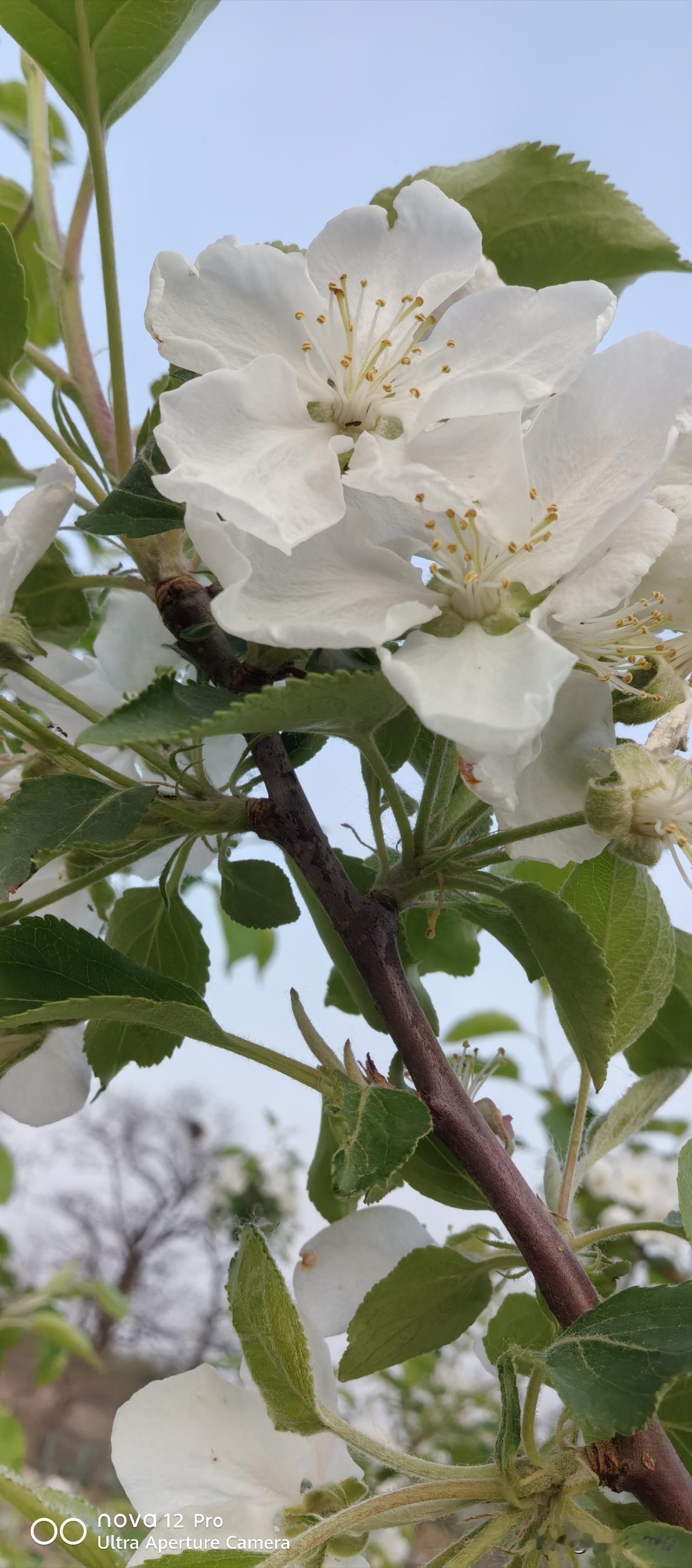 春日生活打卡季