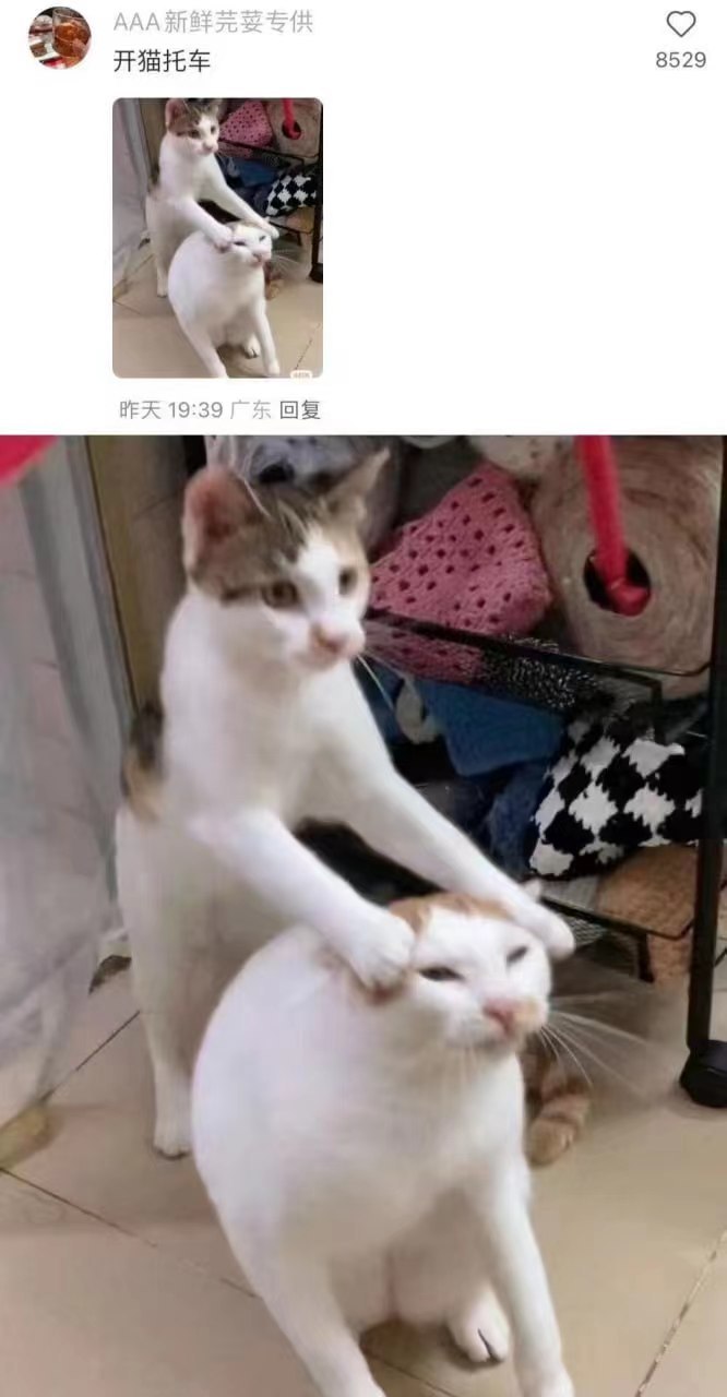 我开#我的幽默搭子# //#定格# ​​​