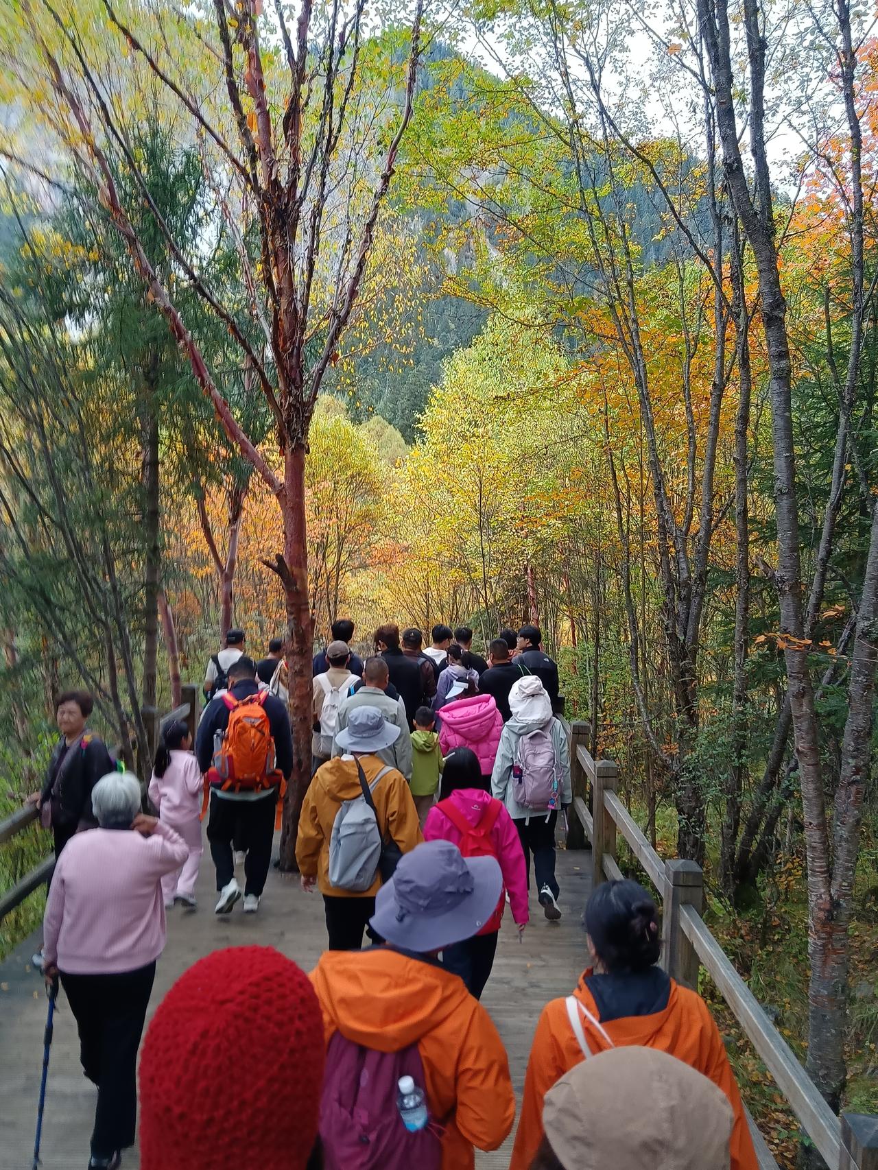 黄龙九寨真的是太美了，让人流连忘返。可旅途的劳累太考验人的体力了，身体不好的千万