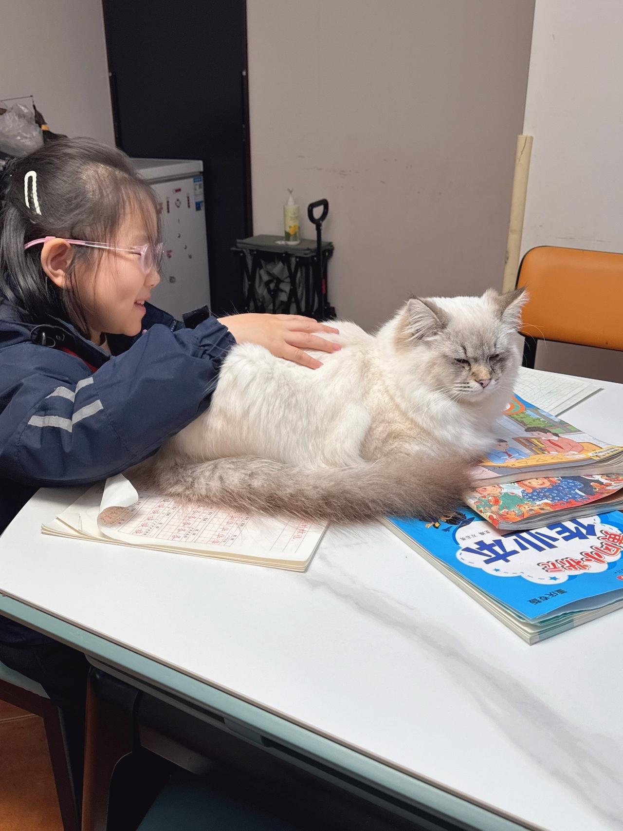 我们家多了新成员
看着彼此陪伴的两小只，真好