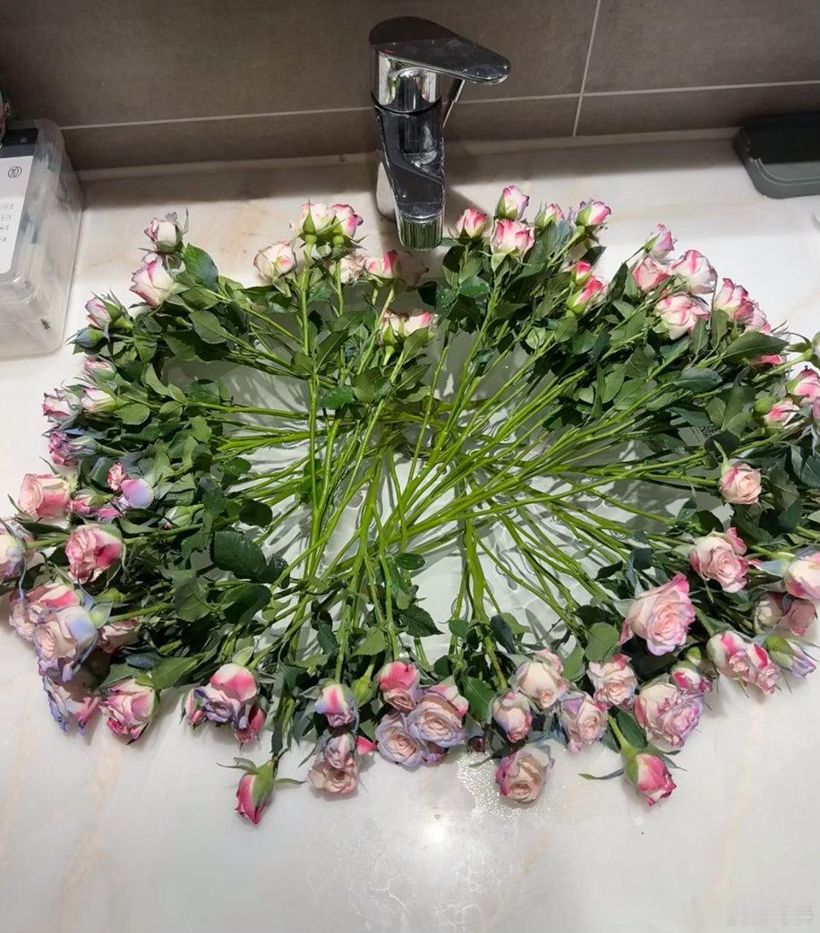 这种醒花方式还是第一次见 什么？把花插进马桶里醒花？！最近社交平台上流行起一种“