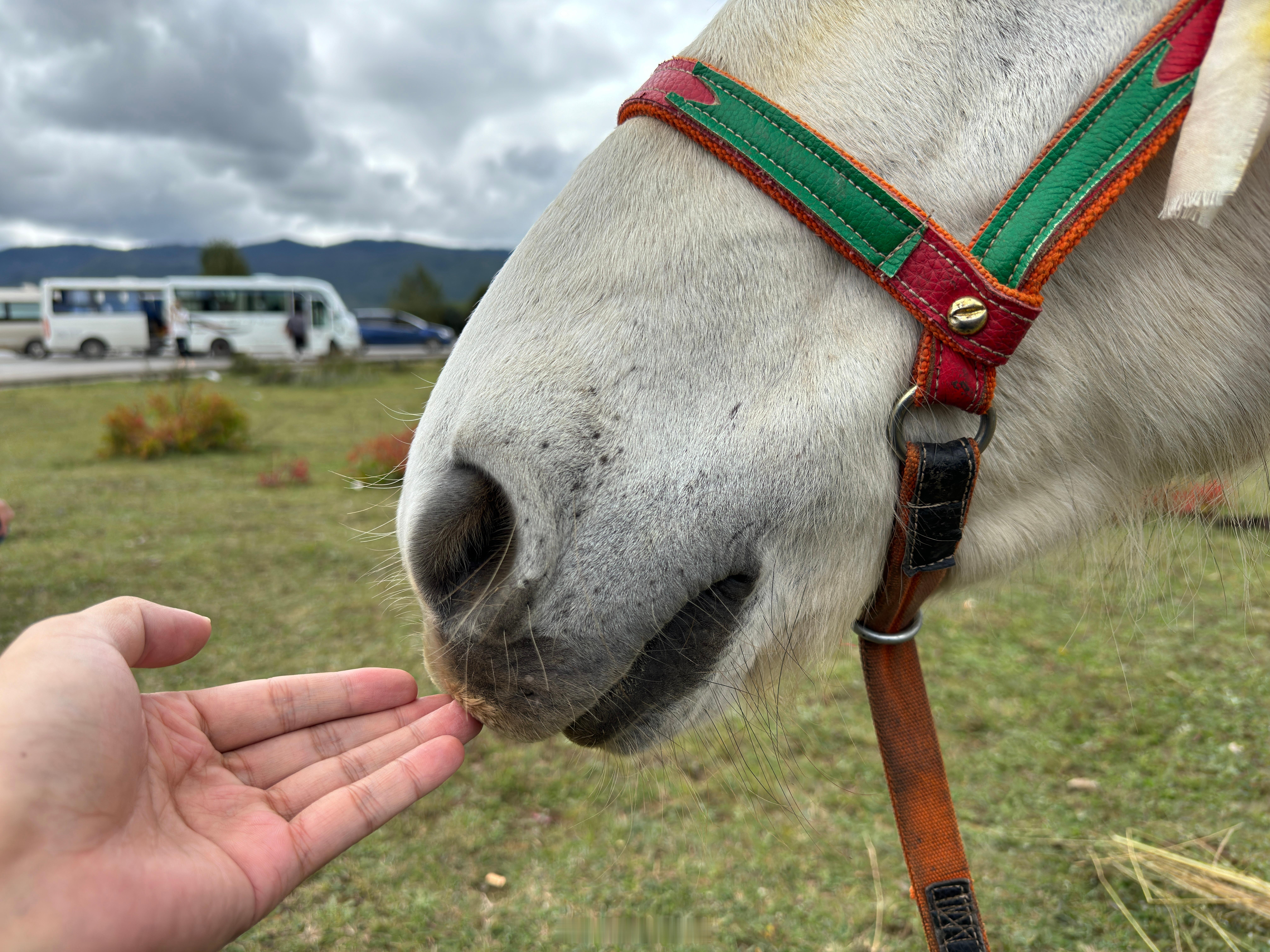 我发现，好吃的东西真的很好吃，不好吃的东西真的很难吃！我发现，好用的手机真的很好