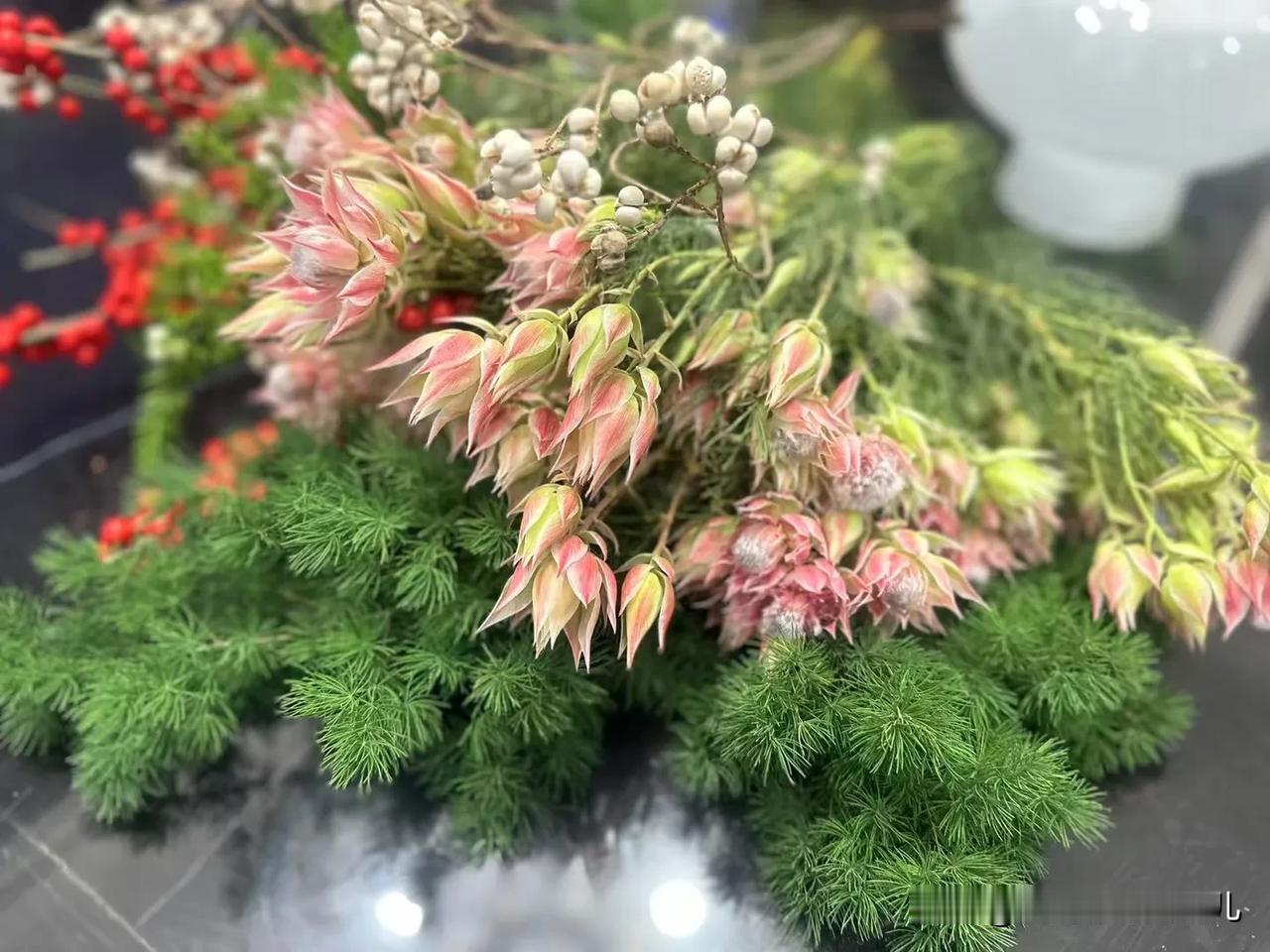 今日碎片
花、点时间！