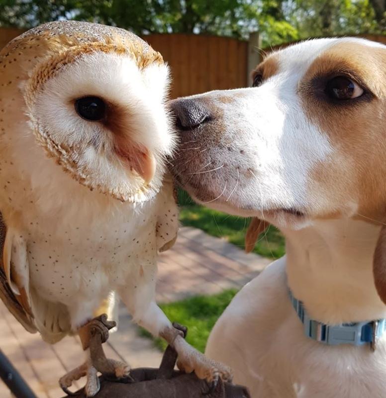 亲情和友情哪个更重要，这真是个让人纠结的问题。亲情是生命的根基，父母像灯塔，无论