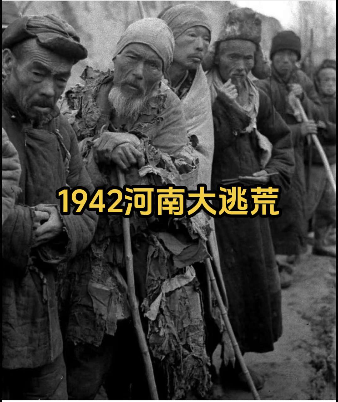 那是一段惨不忍睹的记忆。1942年的河南，山河破碎，三面环敌，全省半数...