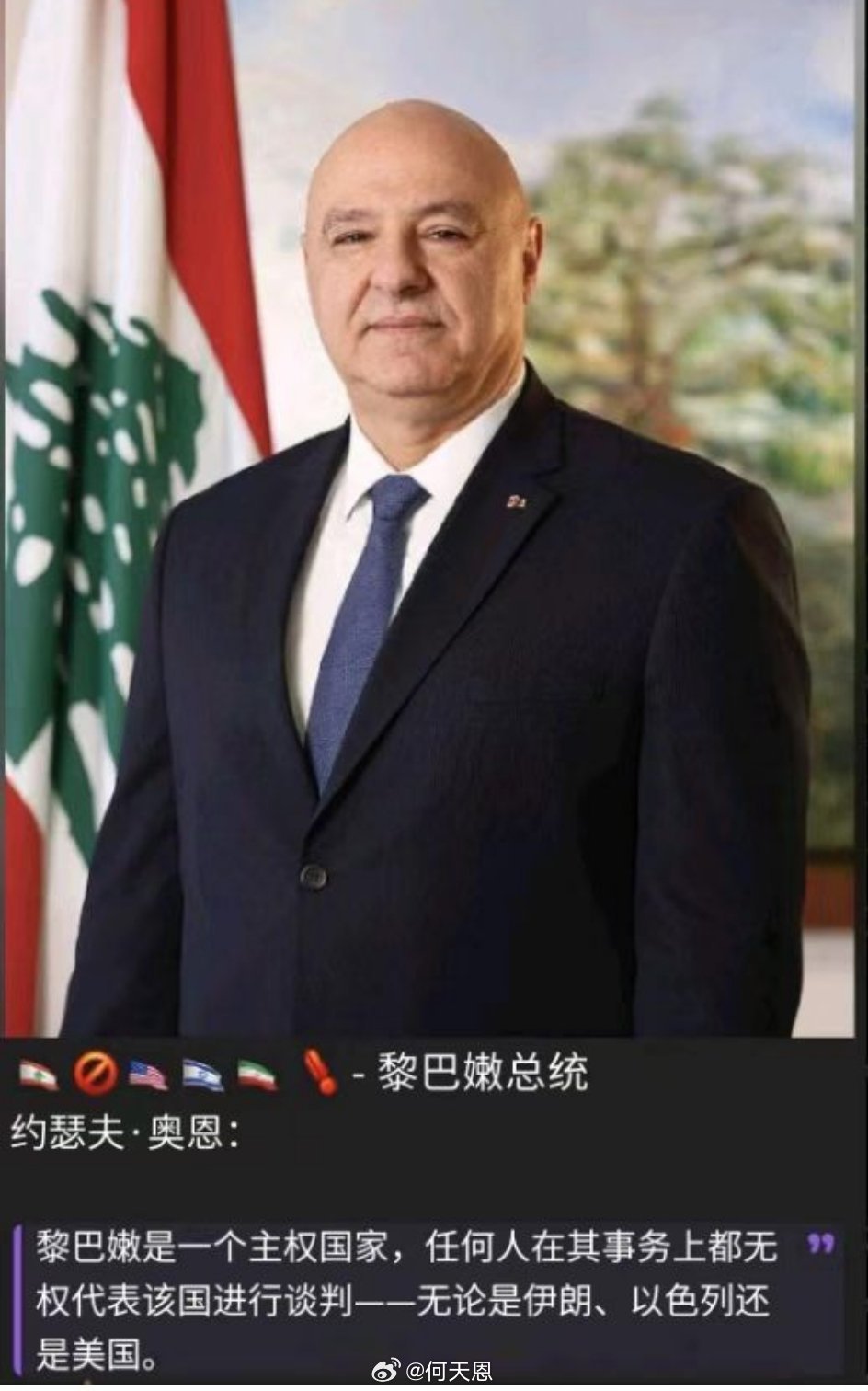 这家伙比巴勒斯坦那个傀儡还傀儡，还令人厌恶。海外新鲜事何天恩