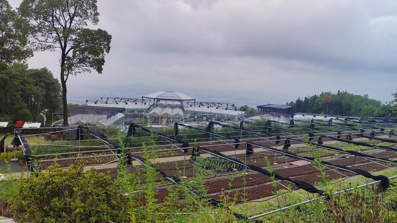 以前多好啊 总是想着下次去哪里玩 现在不行了 我们要上班 都有自己的生活
唉，这