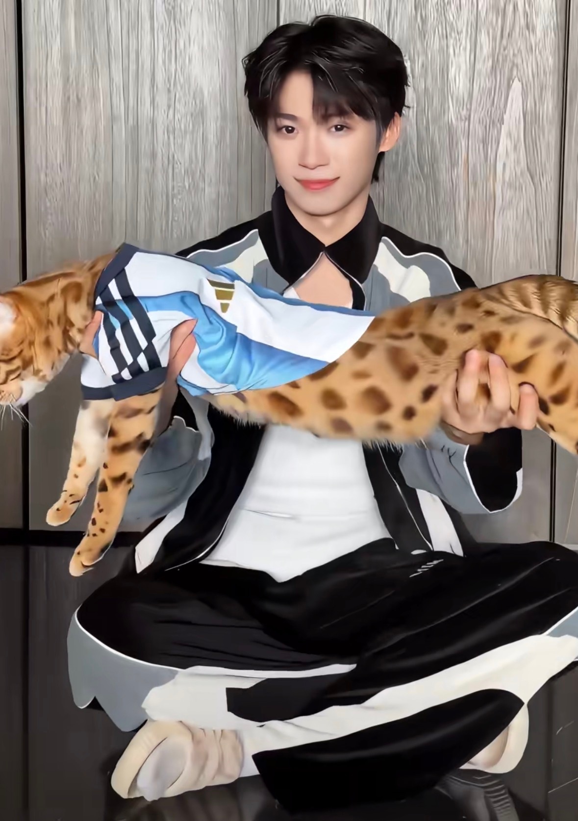 猫之大，一屏放不下 