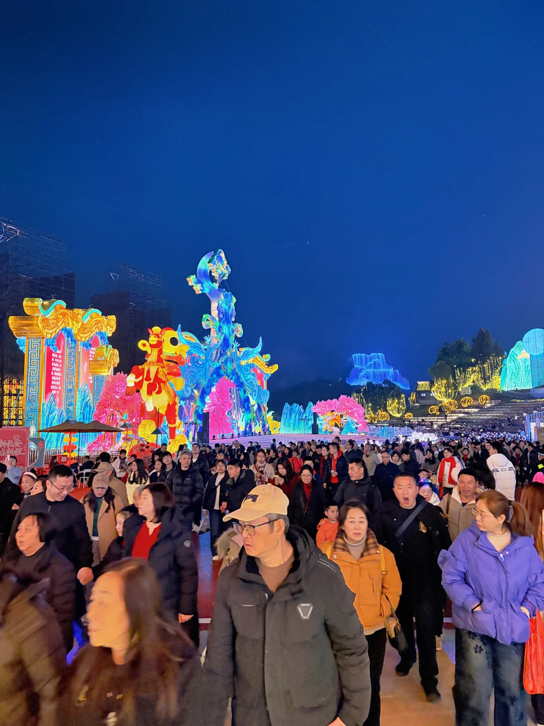 2.11自贡灯会实况！！！！好多人！！！好热闹