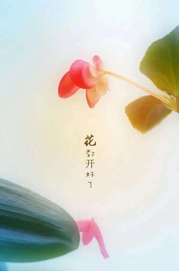 身静则生阳，身体安住、不妄动、不过劳、阳气自然慢慢回升，人就有精神、有底气。  