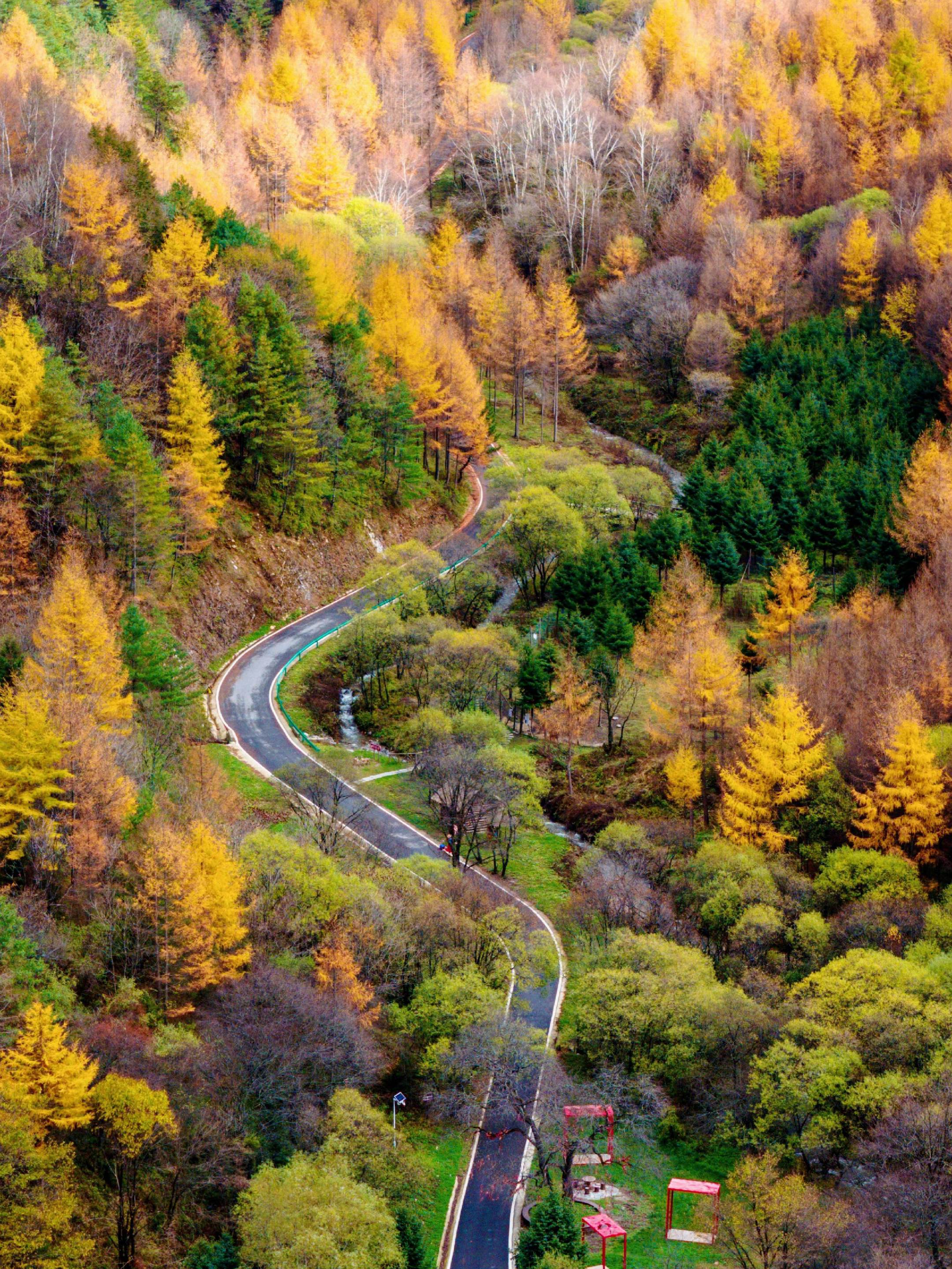留坝赏秋攻略🍁不用出陕就能欣赏川西美景。要在陕西选择赏秋的地方，那么...
