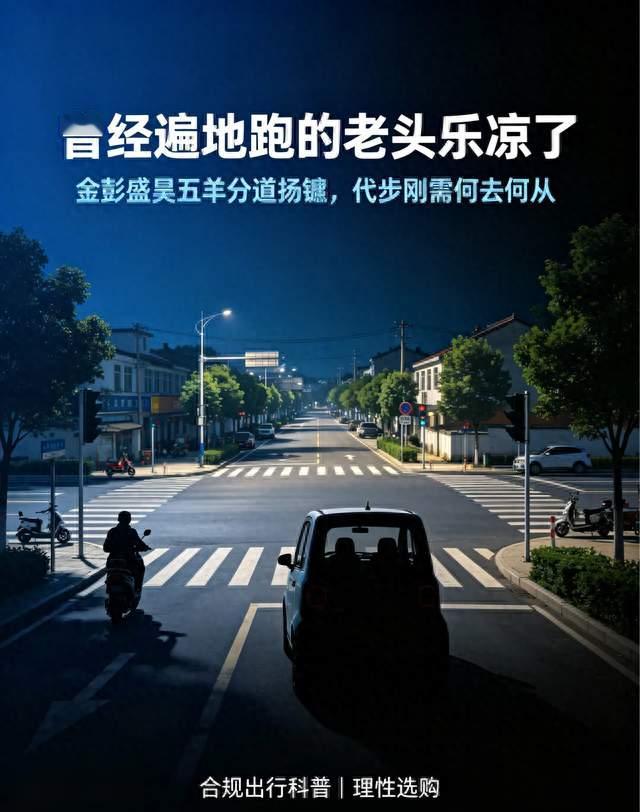曾经遍地跑的老头乐凉了，金彭盛昊五羊分道扬镳 代步刚需何去何从