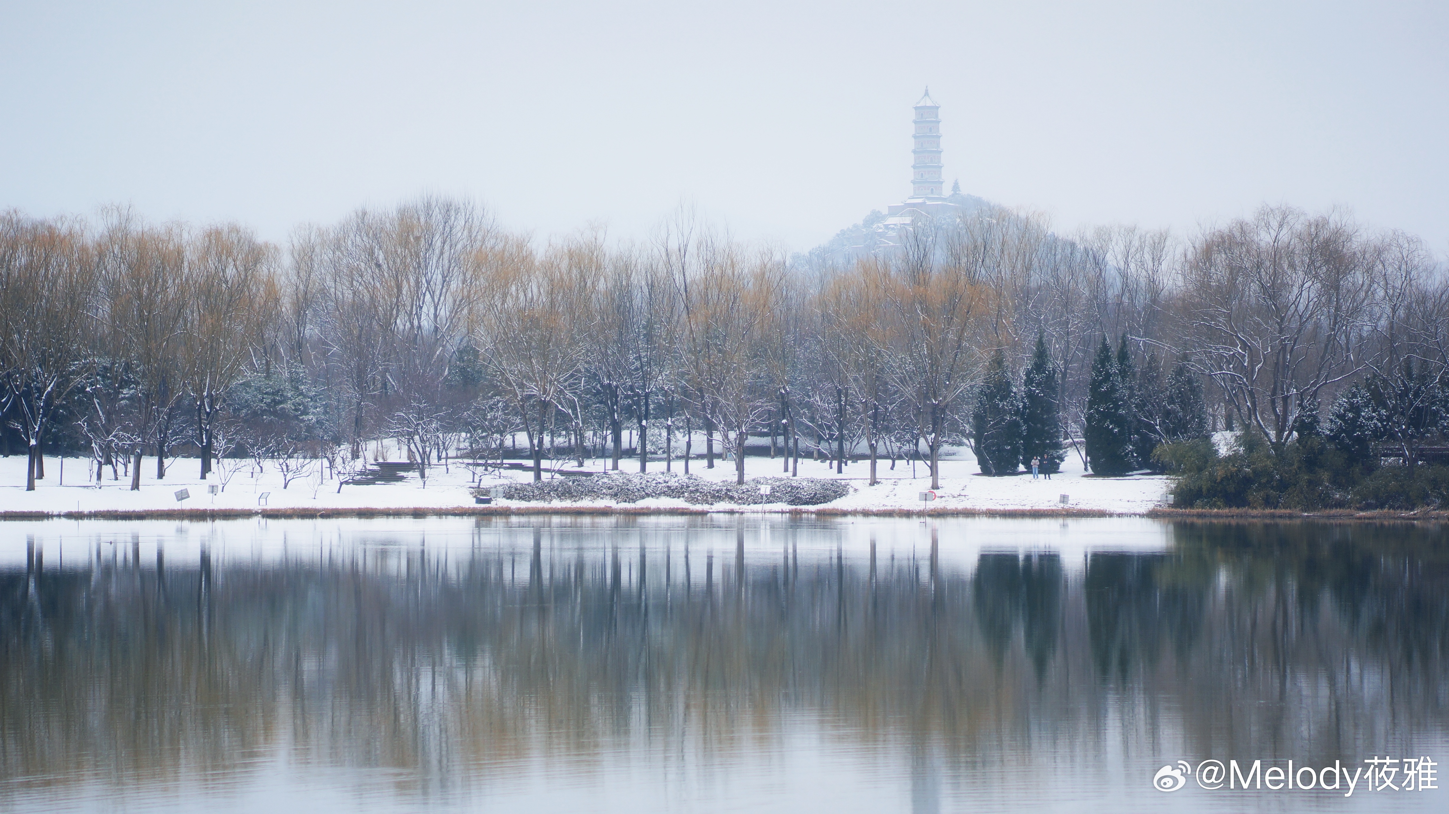 北坞春雪时，看一场安静的白。🌨️摄影/后期：北京你好