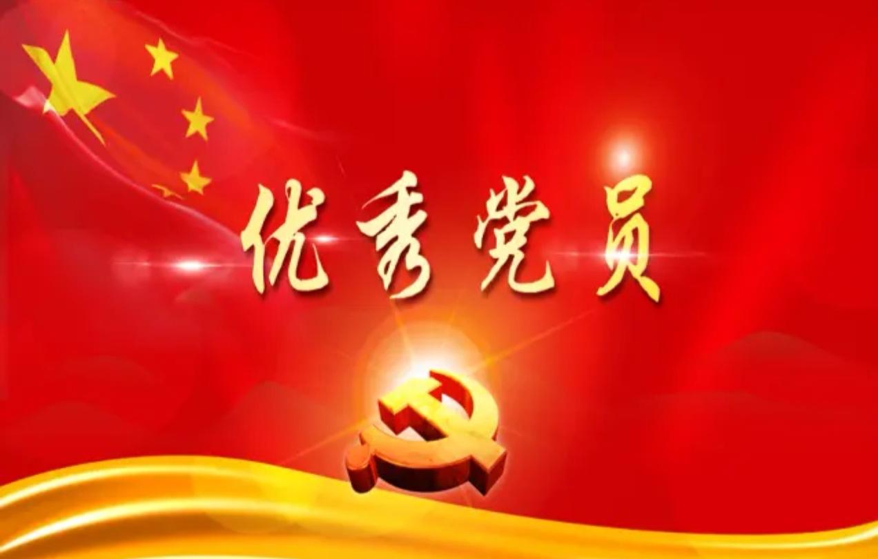 优秀党员获奖感言

感言一（机关综合内勤岗）
有幸获评优秀党员，这份荣誉沉甸甸，