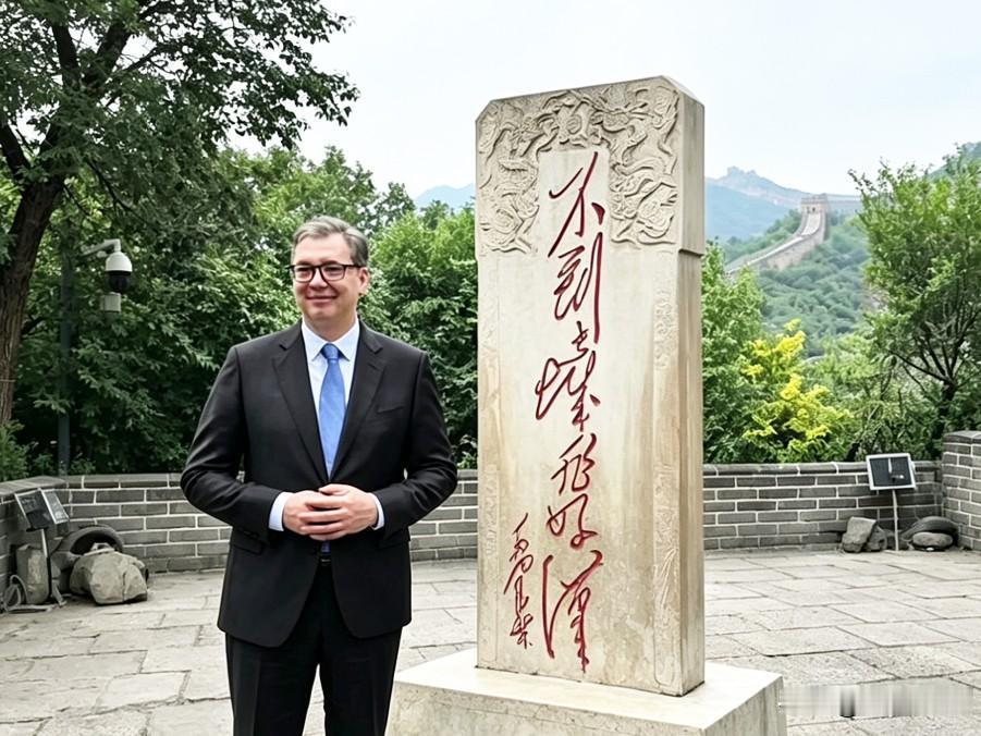 武契奇总统任期最后一天深情祝福中国！在感动的同时，千万别忘了理性看待这件事情。