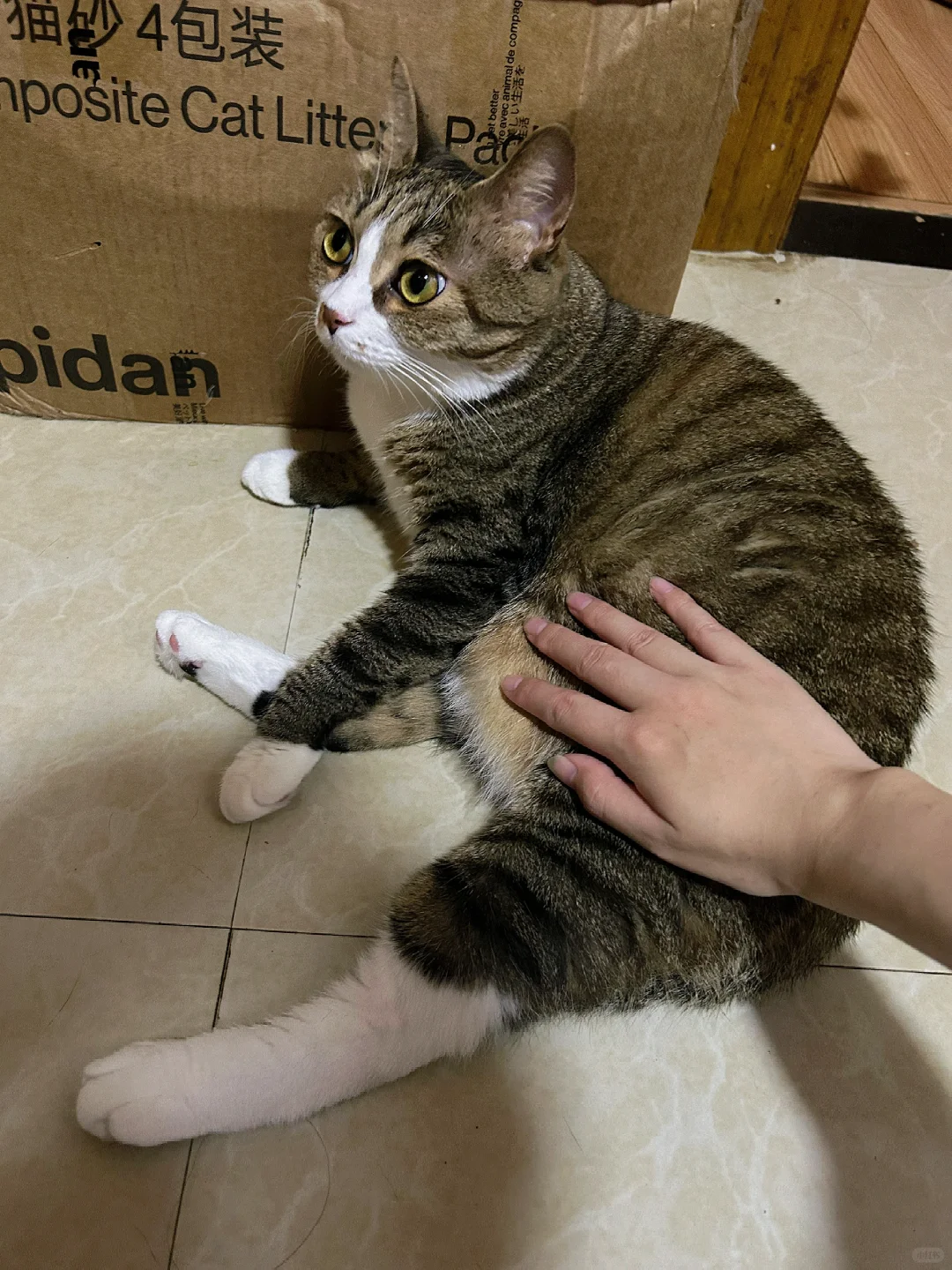 谁让你摸了～