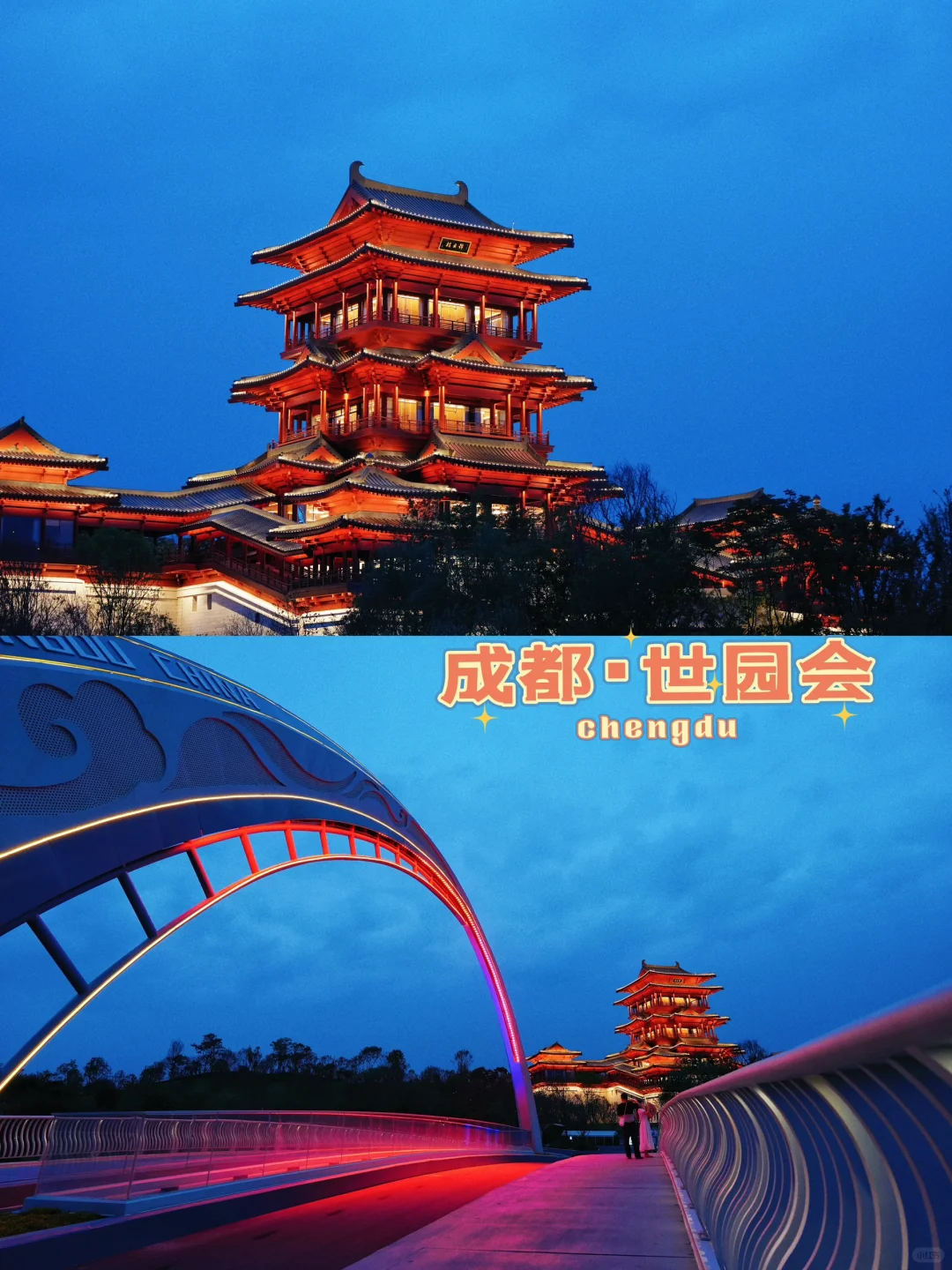 成都世园会的夜，美得不像话！