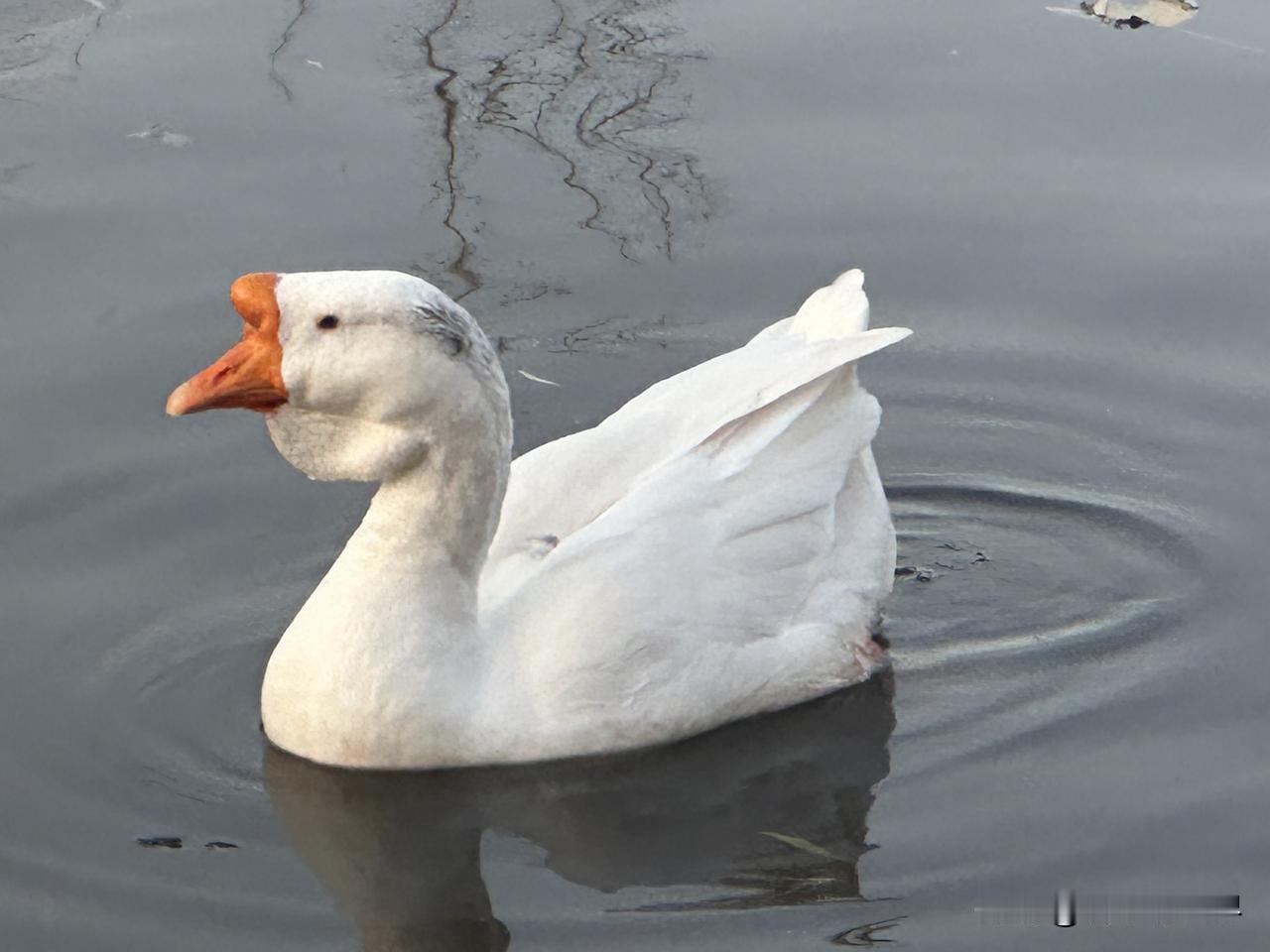 校园午后的静谧时光