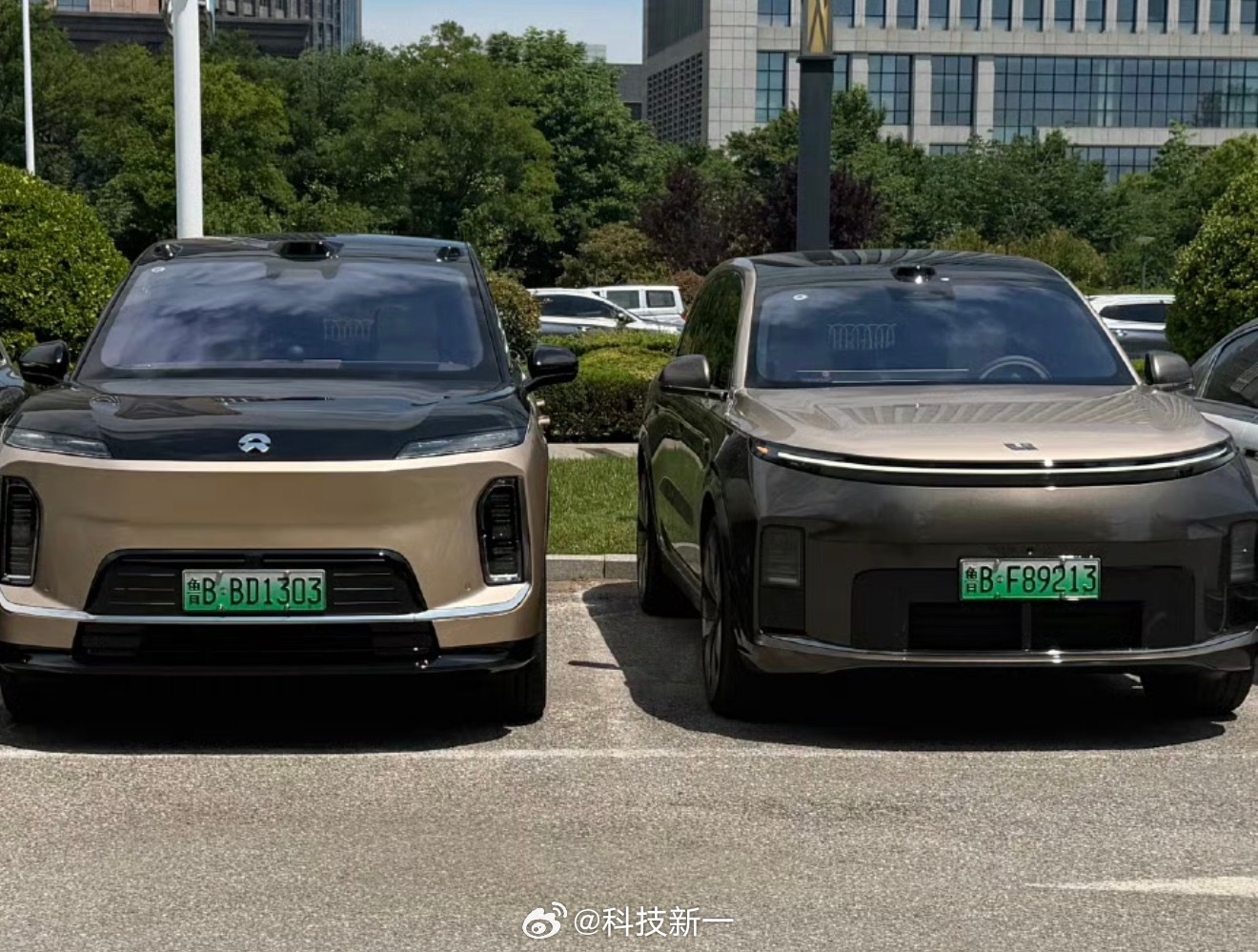 据说没有人会同时拥有理想L9 livis、蔚来ES9地平线以及自卑，你们同意吗