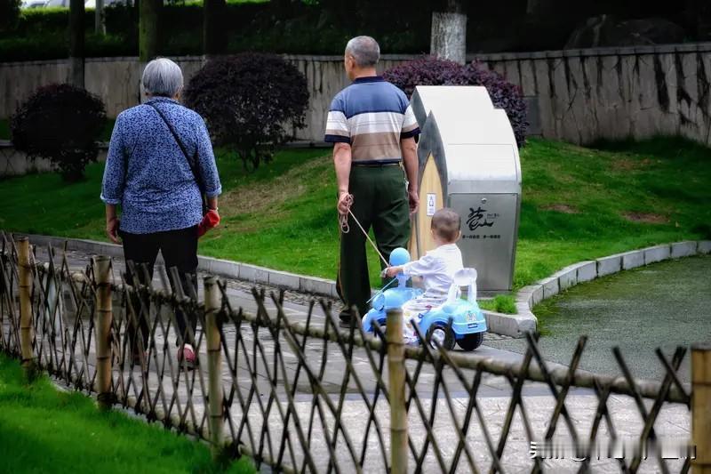 很多人，尤其是普通人，

他们没有办法养儿育女就仅仅是为了防老而已。

这一观念