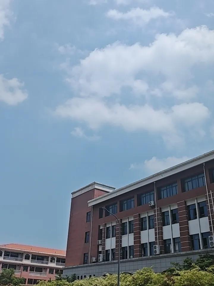 校园生活一瞥：阳光下的课间时光