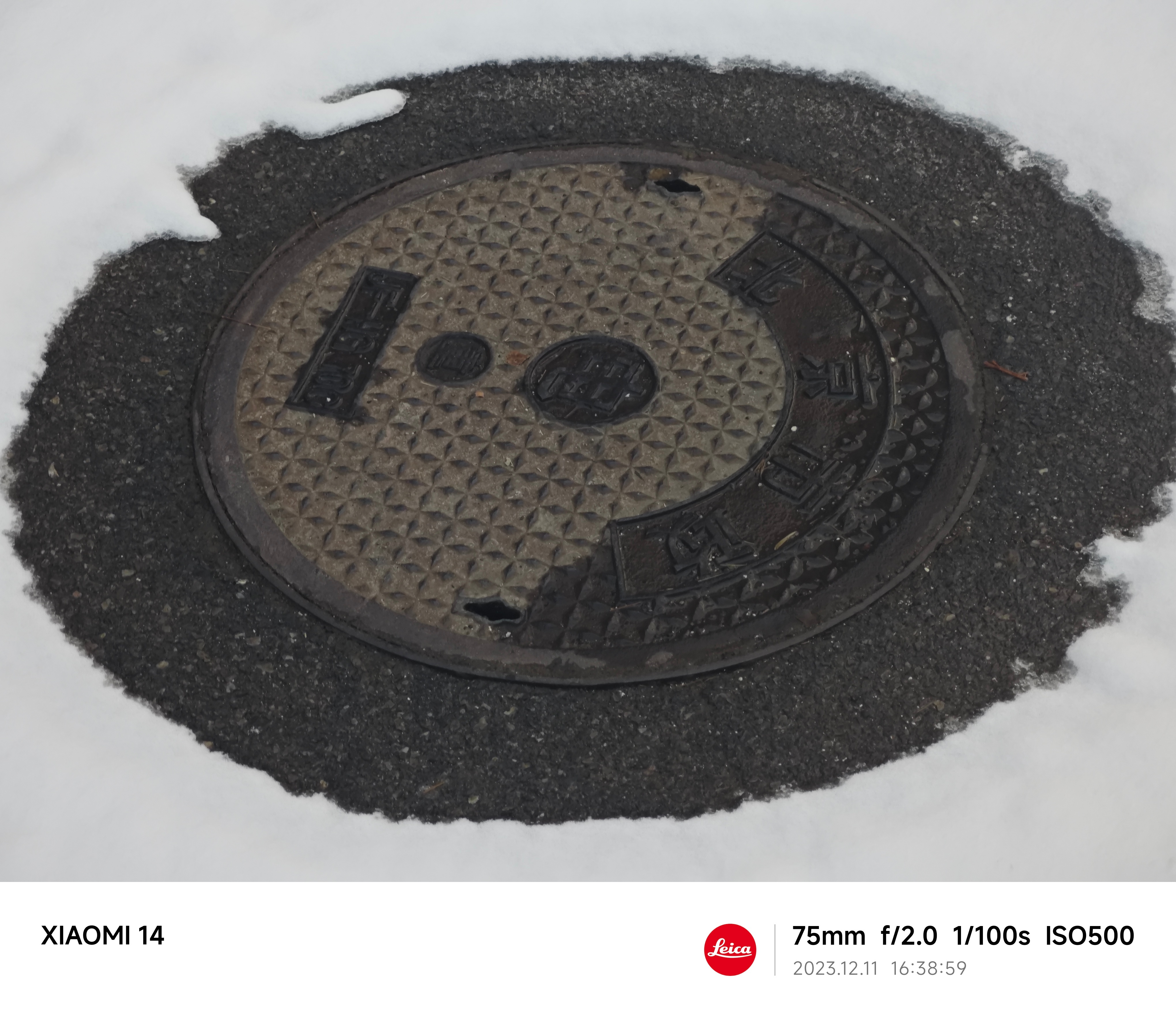下雪了，傍晚的园区雪景确实挺好看的[赛诺]拿小米14随便拍两张，白天太匆忙了没来