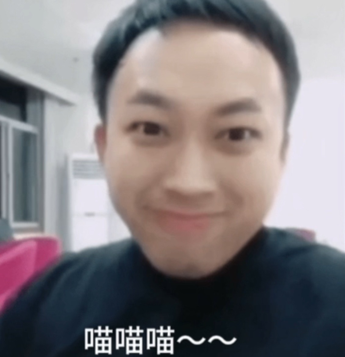 小猫头像 ​​​
