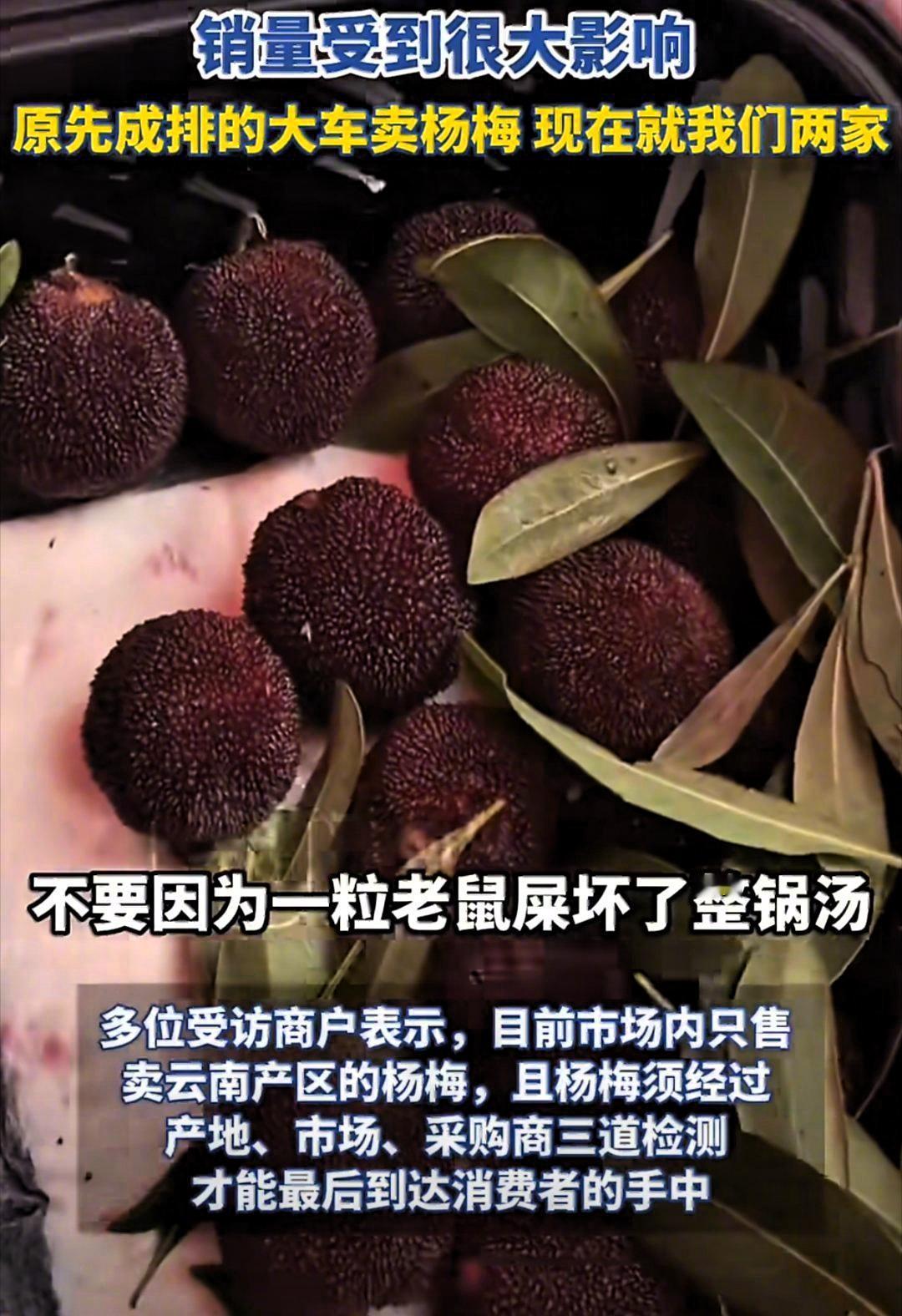 这真是一颗老鼠坏了一锅粥！ 为拉长存放时长、提亮卖相、凭空增重牟利，不法商贩大肆