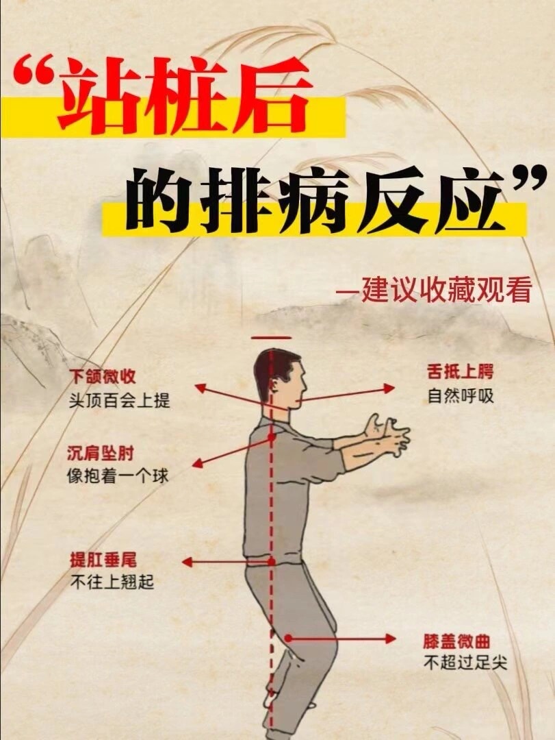 练完站桩后的排毒效果真的牛！ 感谢大家的支持，也非常幸运能遇到你们!!!-我相信