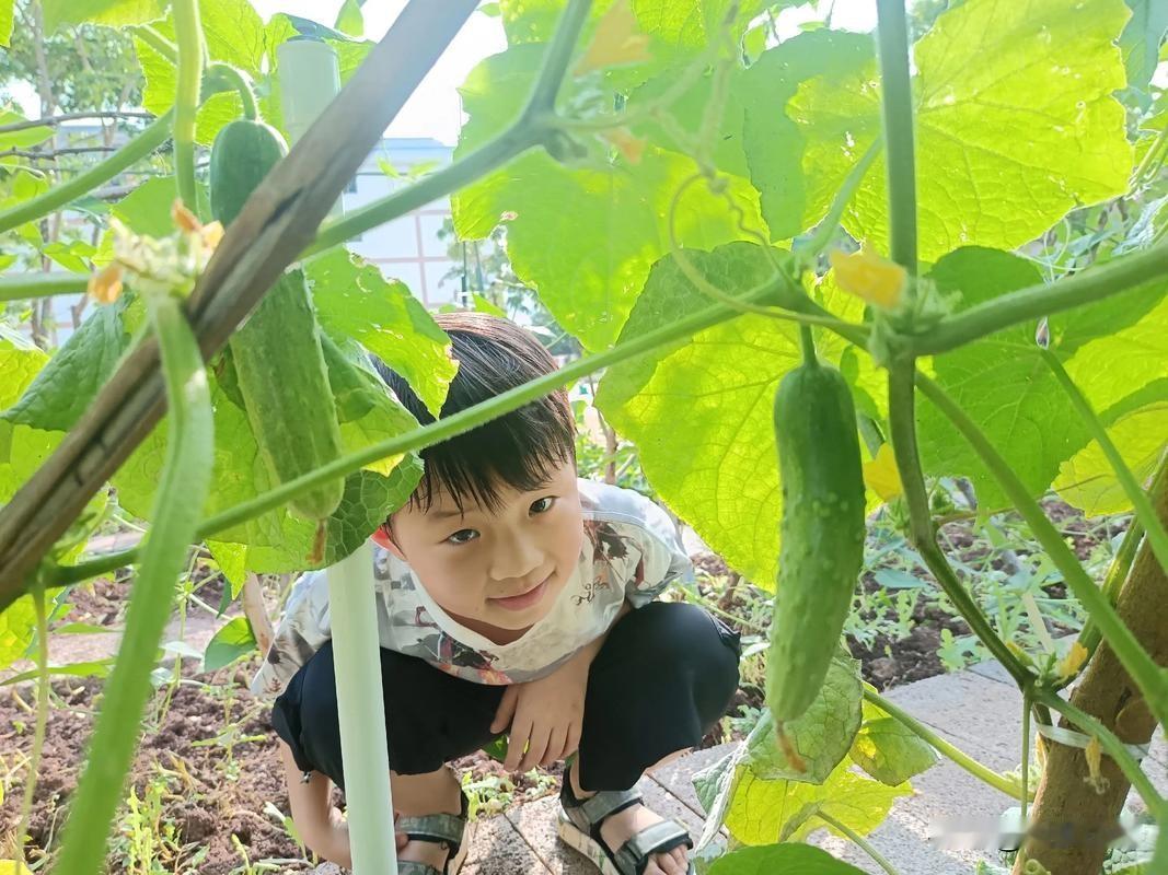 有人说“努力必定成功”你赞同吗?与其说“努力必定成功”，不如说“努力必定有收获”